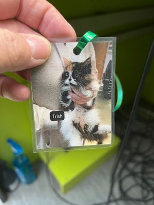 Dreiteilige Glattmantelwalze zum Anhängen an ein Quad, Kleintraktor, PKW oder Rasenmäher.